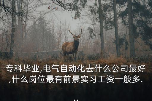 專科畢業(yè),電氣自動(dòng)化去什么公司最好,什么崗位最有前景實(shí)習(xí)工資一般多...