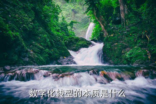 數(shù)字化轉(zhuǎn)型的本質(zhì)是什么