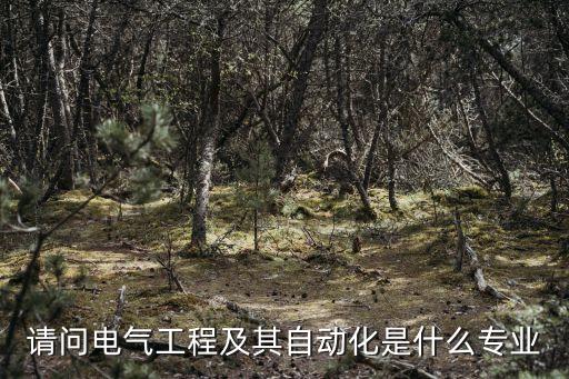 請問電氣工程及其自動化是什么專業(yè)