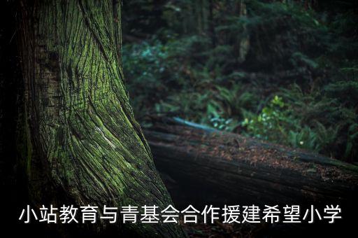  小站教育與青基會(huì)合作援建希望小學(xué)