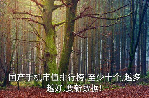 國(guó)產(chǎn)手機(jī)市值排行榜!至少十個(gè),越多越好,要新數(shù)據(jù)!