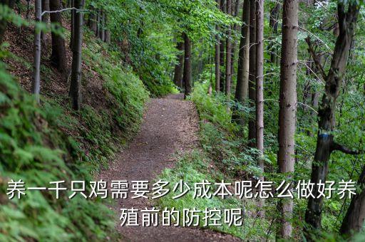 全自動化雞棚設(shè)備,自動化雞棚需要多少錢