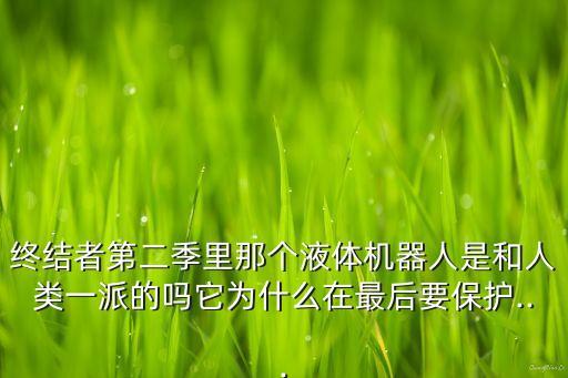 終結(jié)者第二季里那個(gè)液體機(jī)器人是和人類一派的嗎它為什么在最后要保護(hù)...