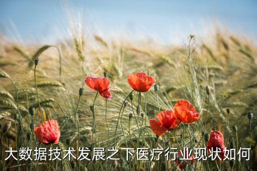 大數(shù)據(jù)技術(shù)發(fā)展之下醫(yī)療行業(yè)現(xiàn)狀如何