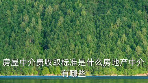 房屋中介費(fèi)收取標(biāo)準(zhǔn)是什么房地產(chǎn)中介有哪些