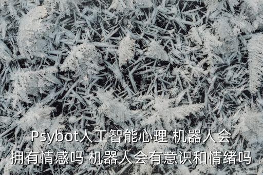 Psybot人工智能心理 機(jī)器人會擁有情感嗎 機(jī)器人會有意識和情緒嗎