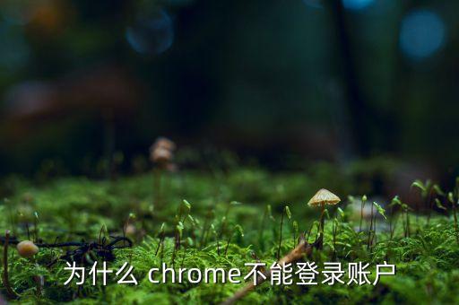 手機chrome 數據壓縮 無法登陸