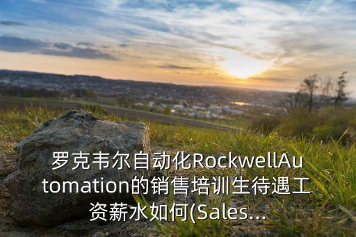 羅克韋爾自動(dòng)化RockwellAutomation的銷售培訓(xùn)生待遇工資薪水如何(Sales...