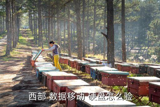 西部數(shù)據(jù) 硬盤真?zhèn)尾樵? /></a><a href=