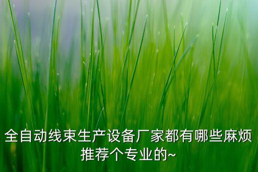 全自動線束生產(chǎn)設(shè)備廠家都有哪些麻煩推薦個(gè)專業(yè)的~