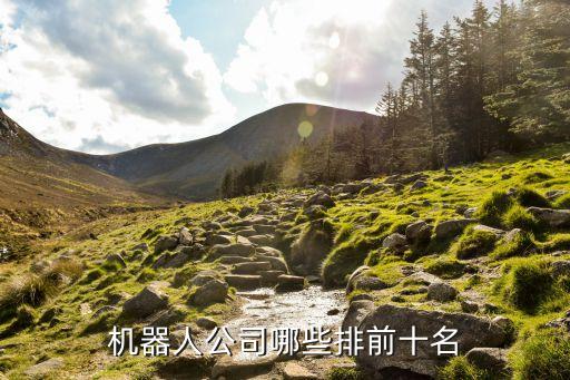 機(jī)器人公司哪些排前十名