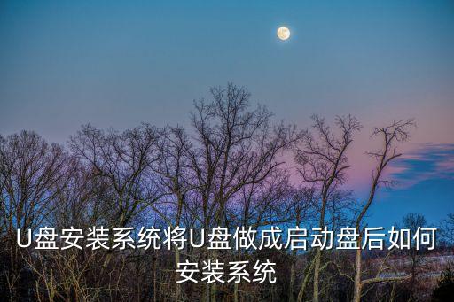 U盤(pán)安裝系統(tǒng)將U盤(pán)做成啟動(dòng)盤(pán)后如何安裝系統(tǒng)