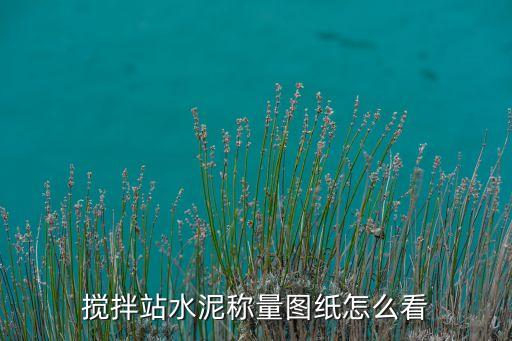 攪拌站水泥稱量圖紙?jiān)趺纯? class=