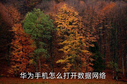 華為手機(jī)怎么打開數(shù)據(jù)網(wǎng)絡(luò)