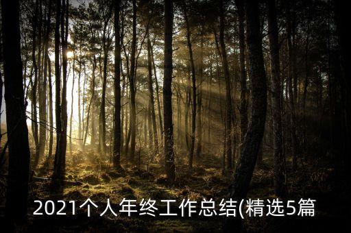 2021個(gè)人年終工作總結(jié)(精選5篇
