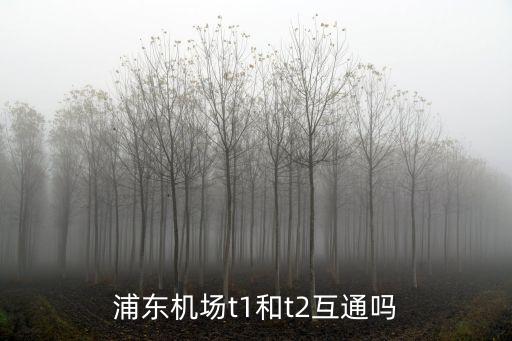 浦東機(jī)場t1和t2互通嗎