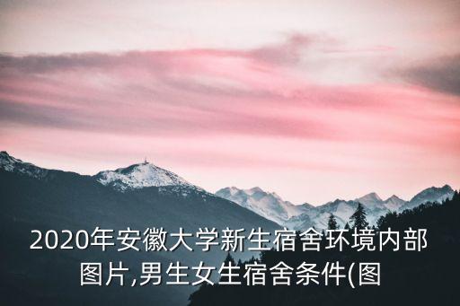 2020年安徽大學(xué)新生宿舍環(huán)境內(nèi)部圖片,男生女生宿舍條件(圖