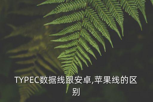蘋果數(shù)據(jù)線typec,什么是type-c數(shù)據(jù)線?