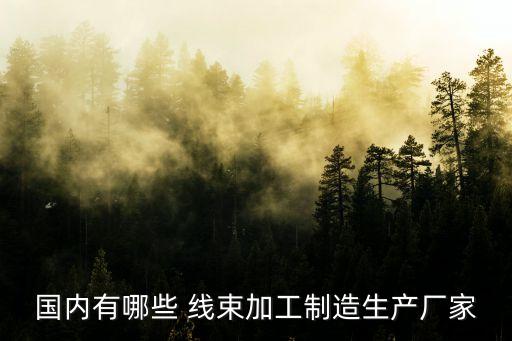 國內(nèi)有哪些 線束加工制造生產(chǎn)廠家
