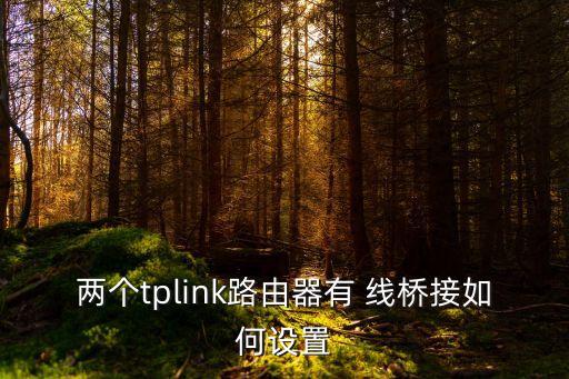 兩個tplink路由器有 線橋接如何設(shè)置