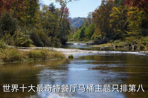 哈爾濱市昊海機(jī)器人主題餐廳,餐廳機(jī)器人可以做什么?