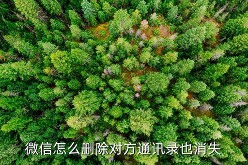 微信清除數(shù)據(jù)好友沒了,如何恢復(fù)已刪微信好友怎么找回來?