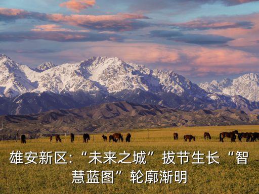 雄安新區(qū)數(shù)據(jù)建設(shè),建設(shè)雄安新區(qū)有什么深意?