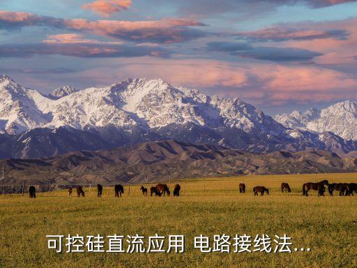 可控硅直流應(yīng)用 電路接線法...