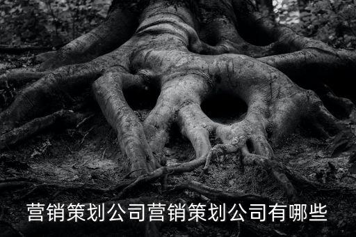 營銷策劃公司營銷策劃公司有哪些