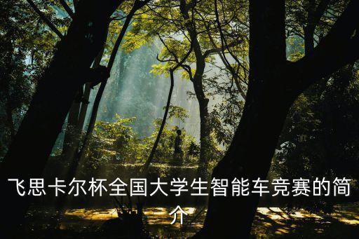 飛思卡爾杯全國大學(xué)生智能車競賽的簡介