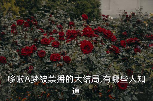 哆啦A夢(mèng)被禁播的大結(jié)局,有哪些人知道