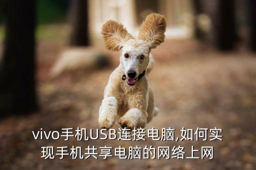 vivo手機(jī)USB連接電腦,如何實(shí)現(xiàn)手機(jī)共享電腦的網(wǎng)絡(luò)上網(wǎng)