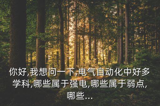 你好,我想問一下,電氣自動化中好多學科,哪些屬于強電,哪些屬于弱點,哪些...