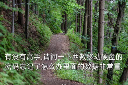 有沒有高手,請問一下西數(shù)移動硬盤的密碼忘記了怎么辦里面的數(shù)據(jù)非常重...