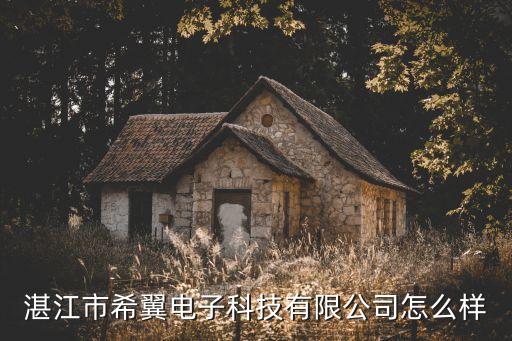 湛江市希翼電子科技有限公司怎么樣