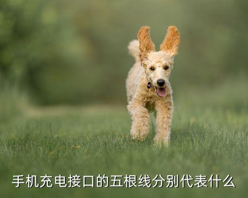 手機(jī)充電接口的五根線分別代表什么