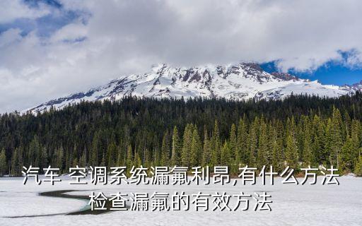 汽車 空調(diào)系統(tǒng)漏氟利昂,有什么方法檢查漏氟的有效方法