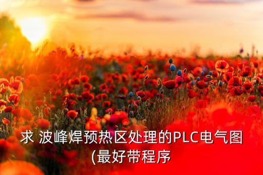求 波峰焊預熱區(qū)處理的PLC電氣圖(最好帶程序