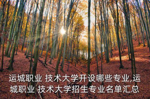 運城職業(yè) 技術(shù)大學(xué)開設(shè)哪些專業(yè),運城職業(yè) 技術(shù)大學(xué)招生專業(yè)名單匯總