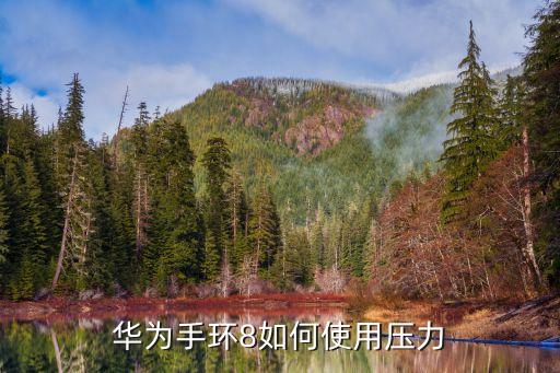 選擇壓力,壓力大嗎?壓力小怎么辦?