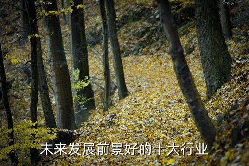 電氣自動(dòng)化專業(yè)職業(yè)調(diào)查報(bào)告