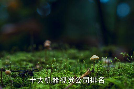 十大機(jī)器視覺公司排名