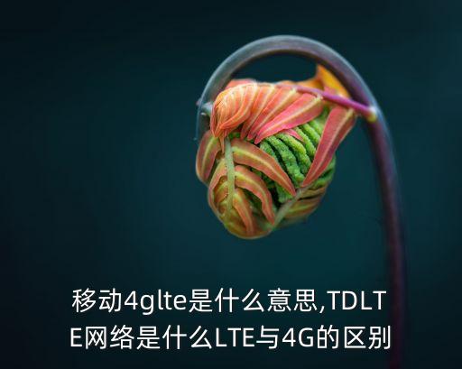 lte4g無線數據終端,4gtdlte是什么意思?