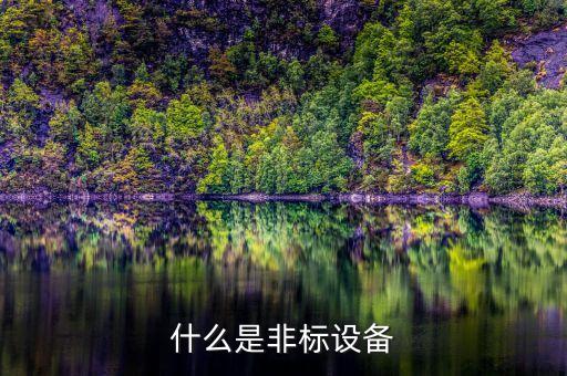 什么是非標(biāo)設(shè)備