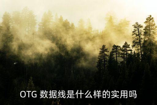 OTG 數(shù)據(jù)線是什么樣的實(shí)用嗎