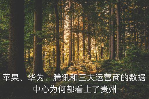 2013大數(shù)據(jù)元年,學(xué)者:2012年世界迎來大數(shù)據(jù)元年