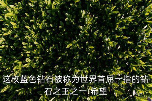 這枚藍(lán)色鉆石被稱為世界首屈一指的鉆石之王之一:希望