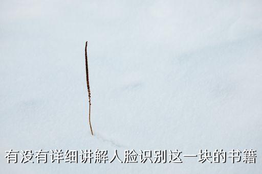 有沒(méi)有詳細(xì)講解人臉識(shí)別這一塊的書籍