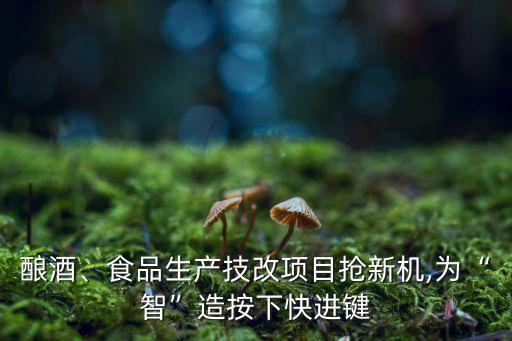 釀酒、食品生產(chǎn)技改項目搶新機,為“智”造按下快進鍵
