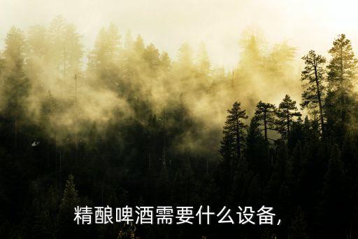 精釀啤酒需要什么設(shè)備,